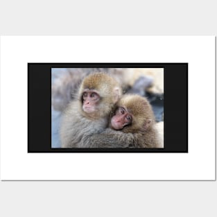 Snow monkey brothers? Posters and Art